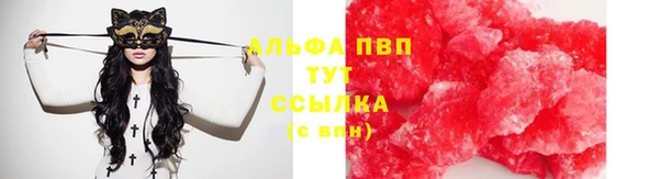 индика Абинск