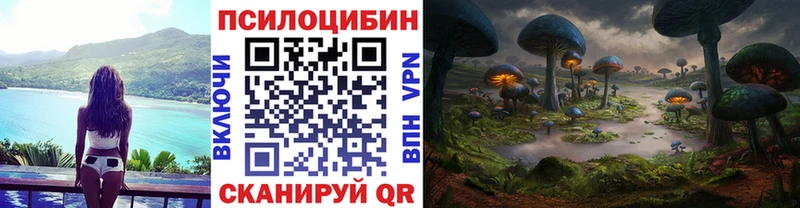 Псилоцибиновые грибы прущие грибы Лодейное Поле