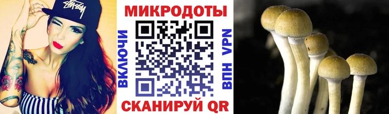 Галлюциногенные грибы мицелий Лодейное Поле